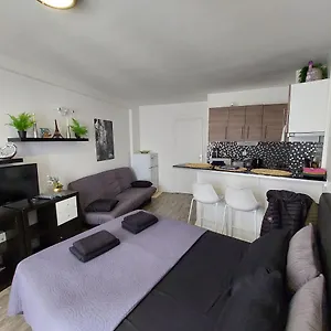 Louvre Apartment Paris